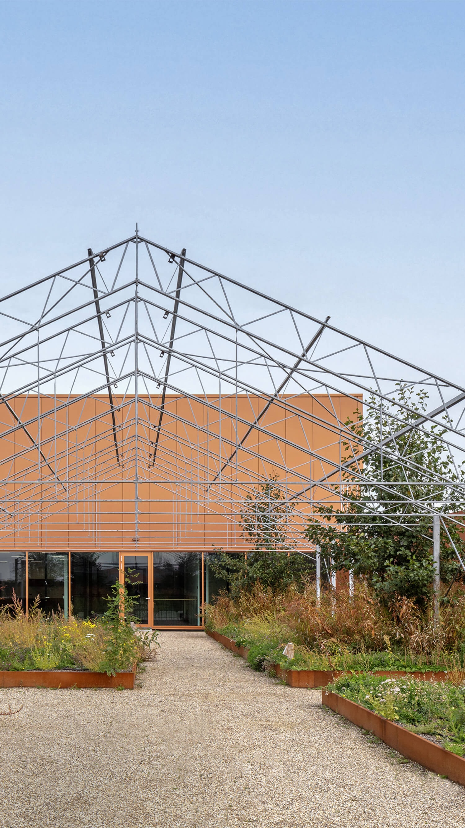 Rooftop garden of Virgo Aalsmeer